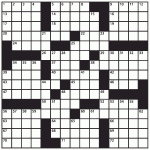 crossword_puzzle