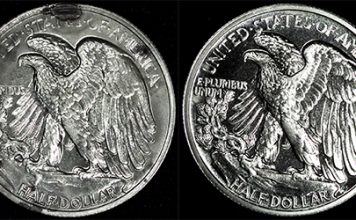 Half Dollar — Before and After