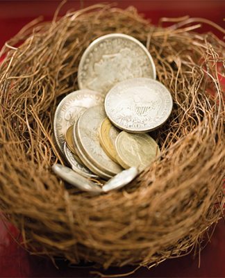 Bullion Nest Egg