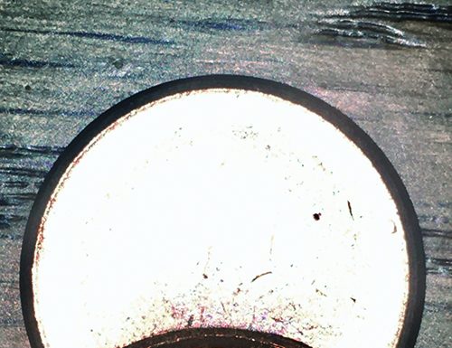 It’s News to Me: A Mistake to Sell My Error Coins?