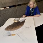 Emily Damstra signs artwork. photo by the American Numismatic Association.