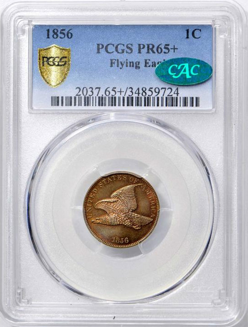 Top 16 Best Coins to Collect in 2023. Must-Haves For Any Collector