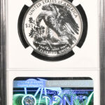 Platinum Coin