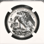 Platinum Coin