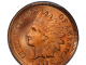 Coin-of-the-Month
