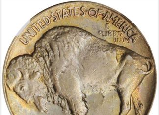 top-12-coins-2024
